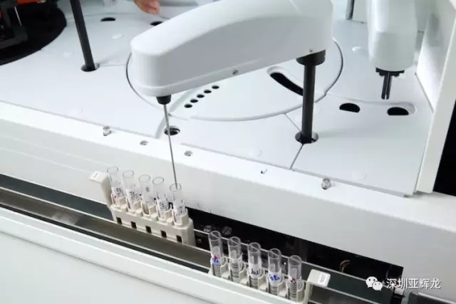 亞輝龍 4.webp.jpg 亞輝龍 4.webp.jpg