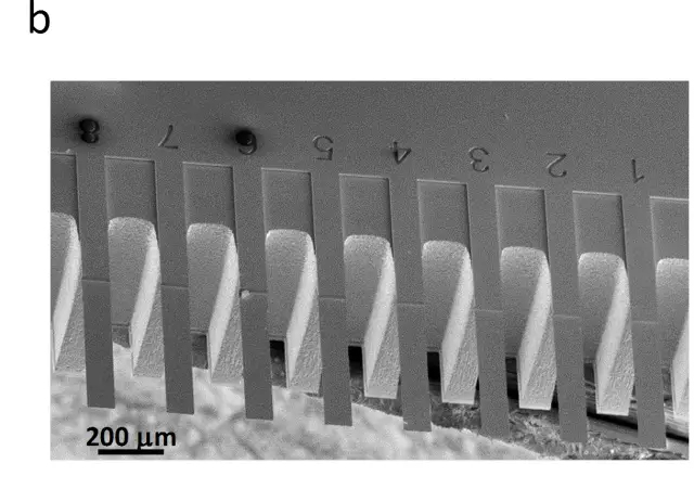 圖片3.png 圖片3.png