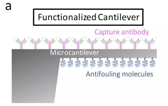 圖片4.png 圖片4.png