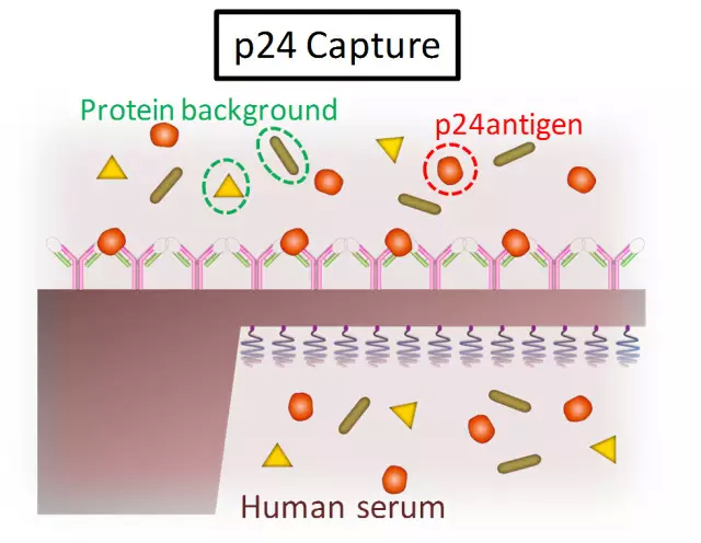 圖片5.png 圖片5.png