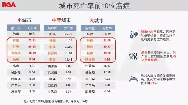 5.webp.jpg 5.webp.jpg