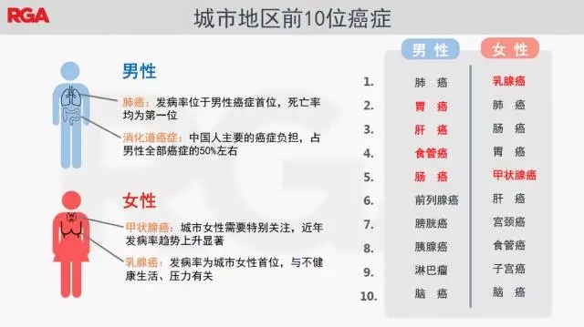 6.webp.jpg 6.webp.jpg