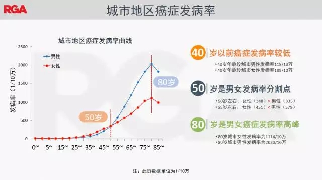 10.webp.jpg 10.webp.jpg