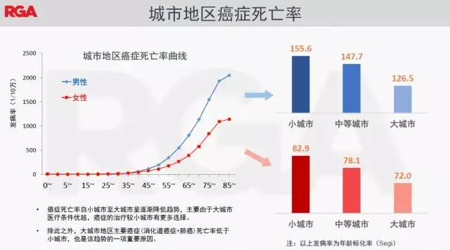 11.webp.jpg 11.webp.jpg