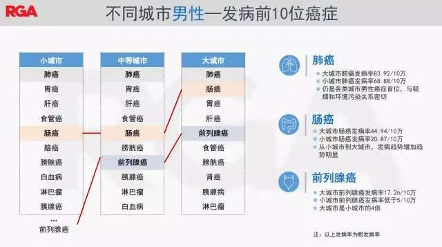 12.webp.jpg 12.webp.jpg