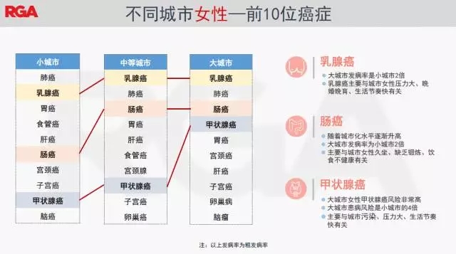 13.webp.jpg 13.webp.jpg