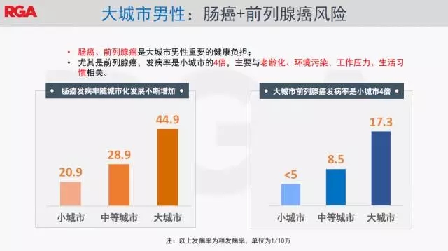 14.webp.jpg 14.webp.jpg