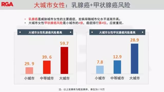 15.webp.jpg 15.webp.jpg