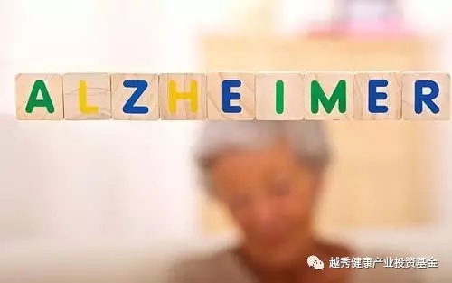 1.webp (1).jpg 1.webp (1).jpg