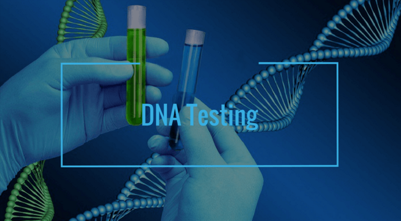 11-20-22-87-2469.png 11-20-22-87-2469.png