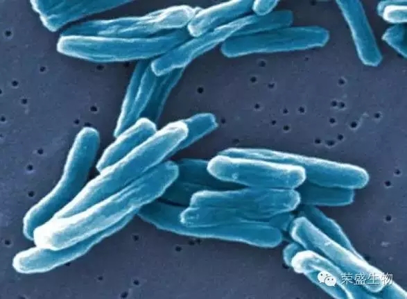 3.webp.jpg 3.webp.jpg