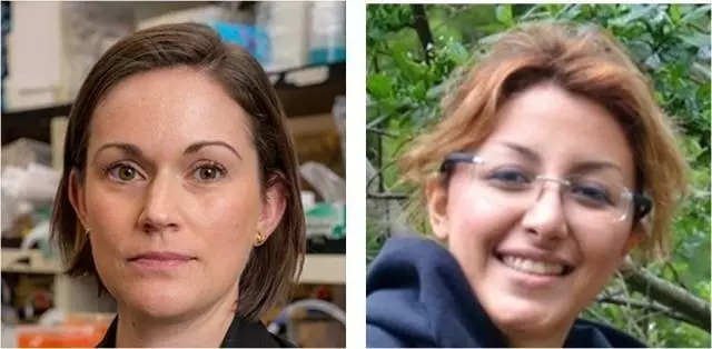 1.webp.jpg 1.webp.jpg