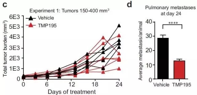 3.webp.jpg 3.webp.jpg