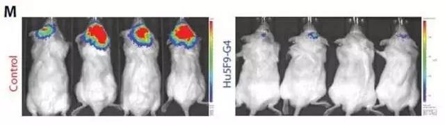 6.webp.jpg 6.webp.jpg