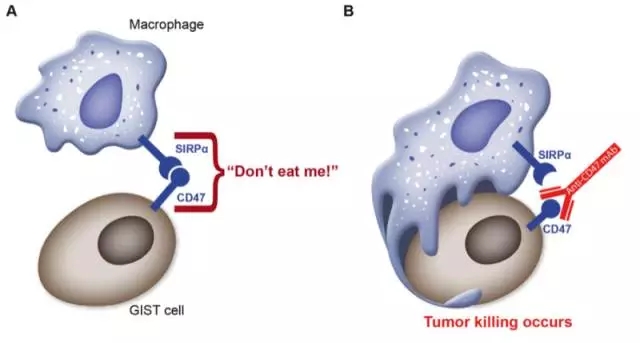 7.webp.jpg 7.webp.jpg
