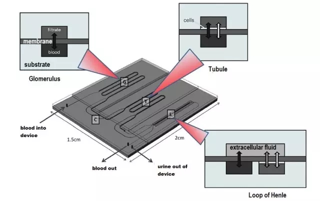 3.webp.jpg 3.webp.jpg
