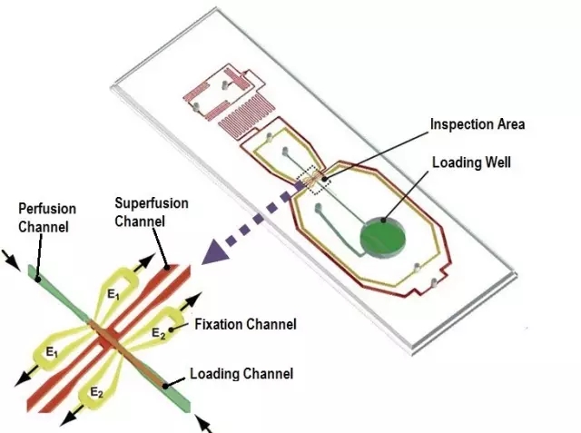 4.webp.jpg 4.webp.jpg