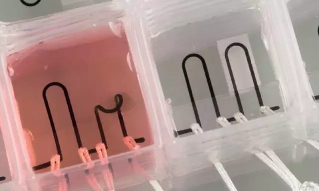 7.webp.jpg 7.webp.jpg