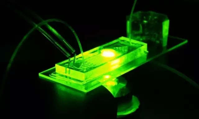 6.webp.jpg 6.webp.jpg