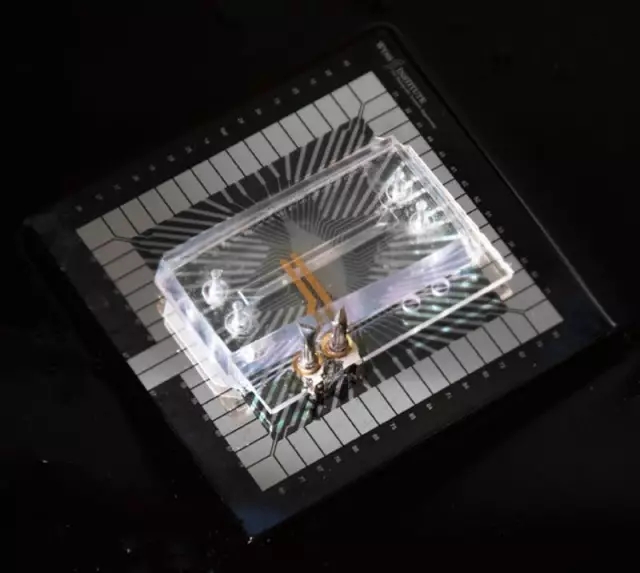 8.webp.jpg 8.webp.jpg