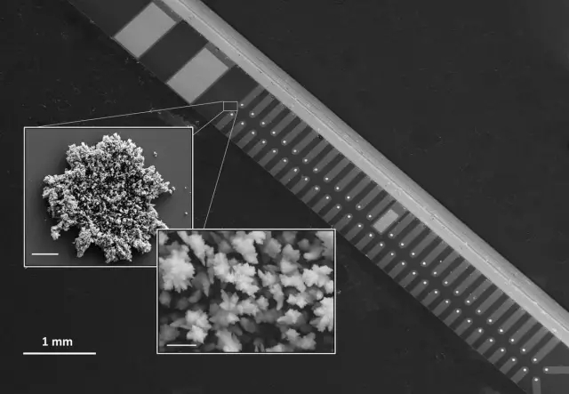 9.webp.jpg 9.webp.jpg