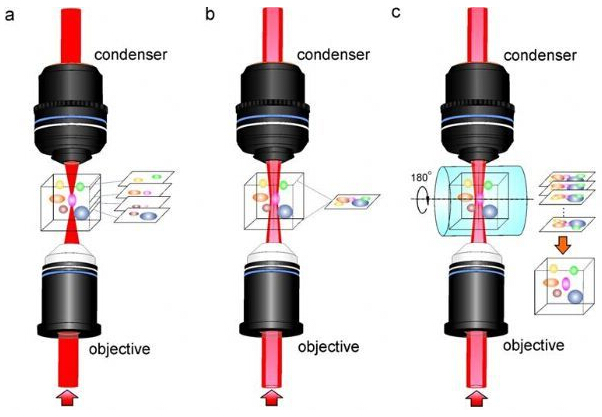 三維容積成像.jpg 三維容積成像.jpg