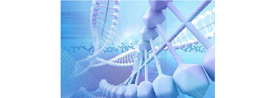 1-331-png_6_0_0_0_0_0_0_892.979_1262.879-893-0-1405-893.jpg.png 1-331-png_6_0_0_0_0_0_0_892.979_1262.879-893-0-1405-893.jpg.png