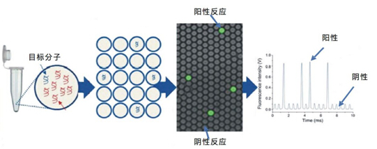 blue book (sh)PCRԭʾD.jpg