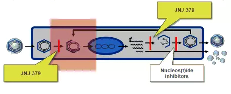 乙肝圖5.png 乙肝圖5.png