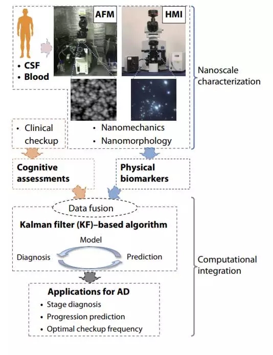 阿茨海默大圖1.jpg 阿茨海默大圖1.jpg