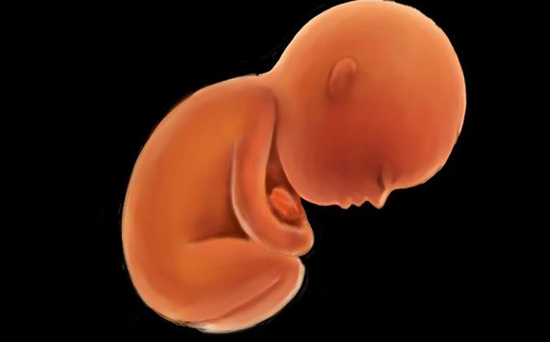 抗體1.png 抗體1.png