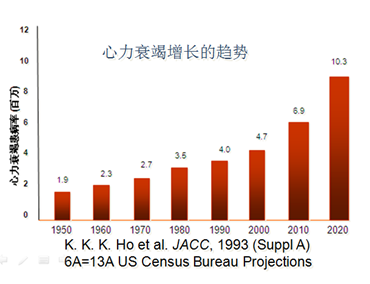 華葵1.png 華葵1.png