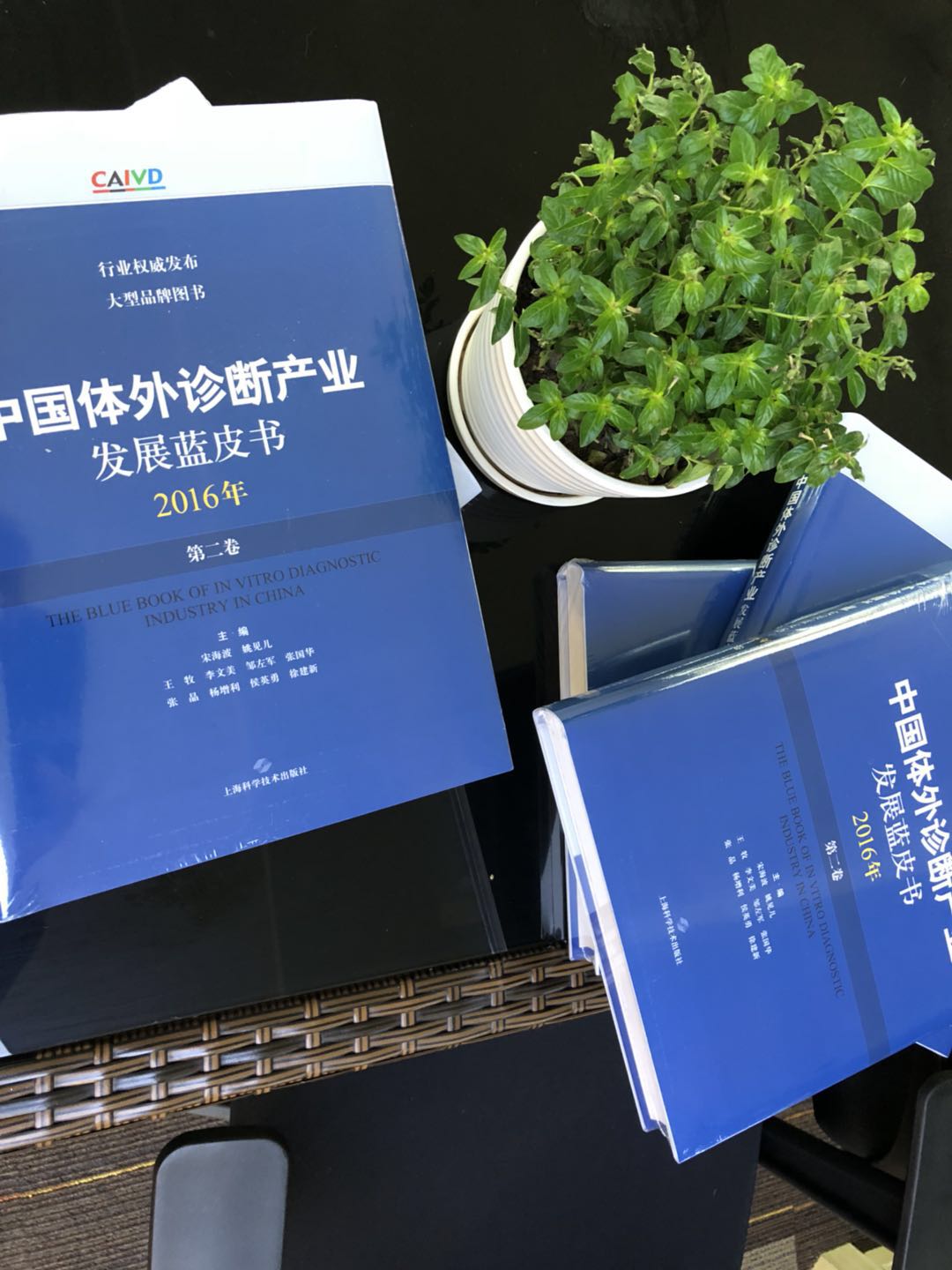 藍(lán)皮書(shū)實(shí)拍圖2.jpg 藍(lán)皮書(shū)實(shí)拍圖2.jpg