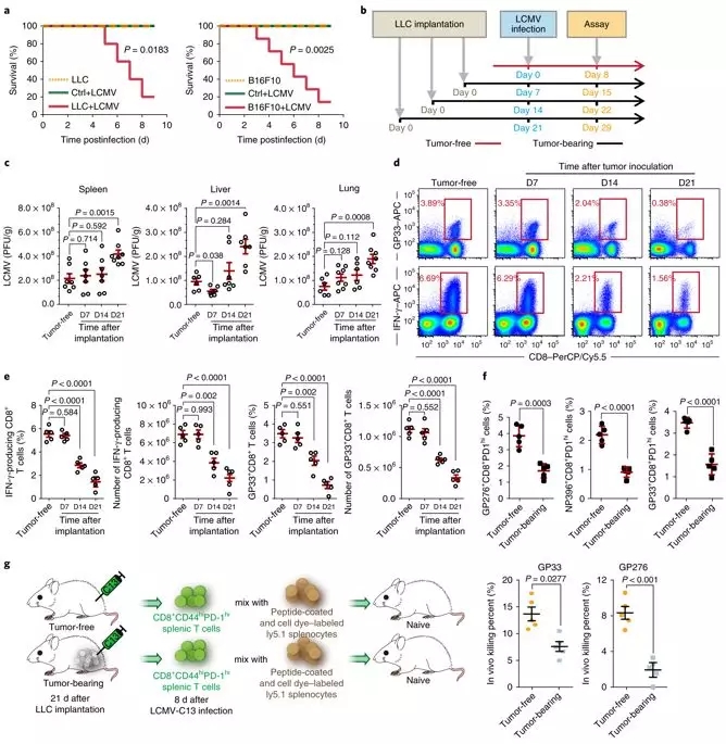 2.webp.jpg 2.webp.jpg