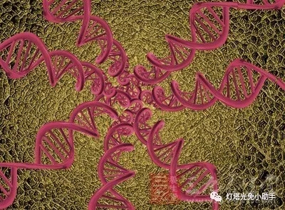 1.webp.jpg 1.webp.jpg