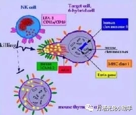 2.webp.jpg 2.webp.jpg