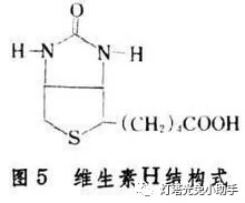 4.webp.jpg 4.webp.jpg