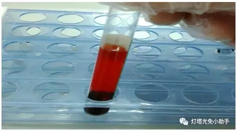 5.webp.jpg 5.webp.jpg