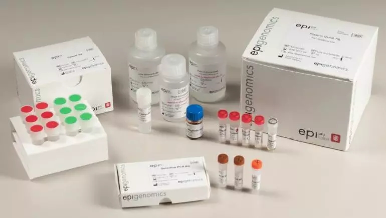 13.webp.jpg 13.webp.jpg