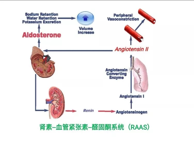 4.webp.jpg 4.webp.jpg