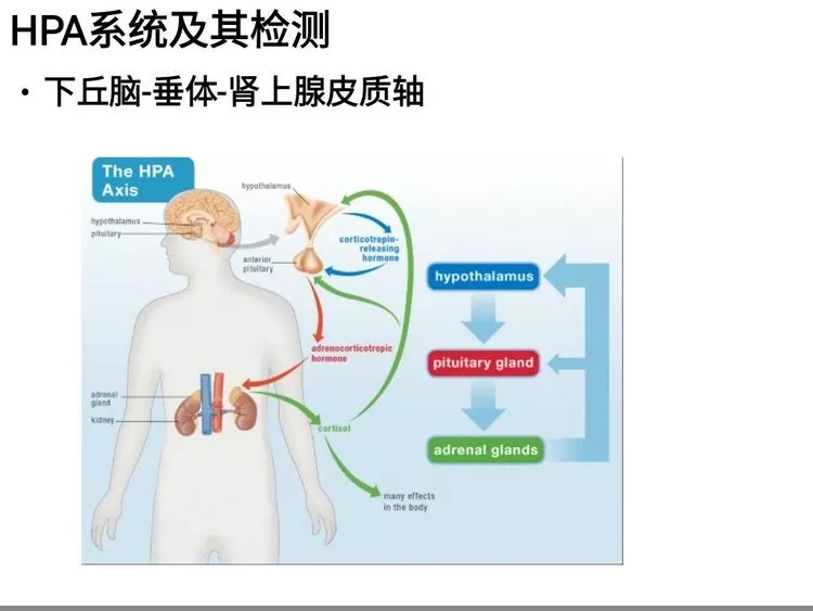 5.webp.jpg 5.webp.jpg