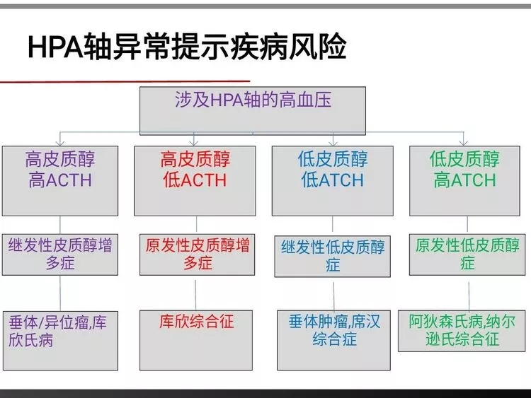 7.webp.jpg 7.webp.jpg