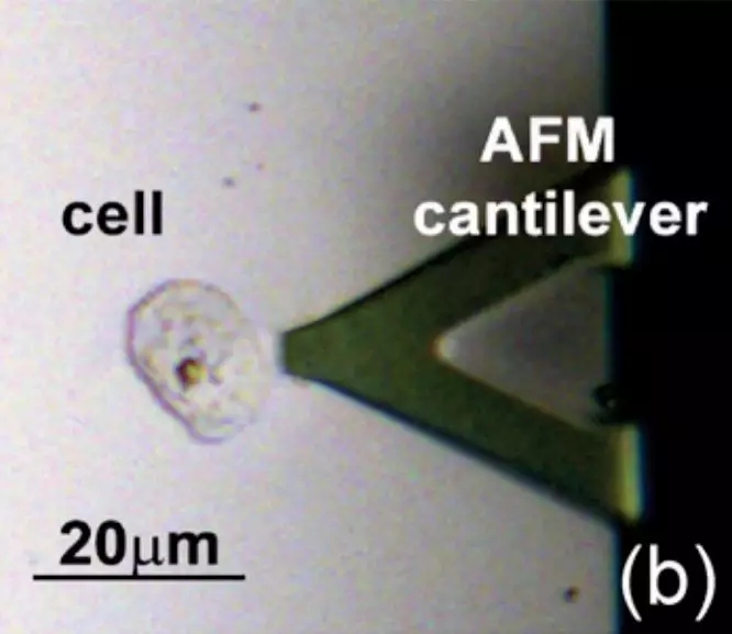 1.webp.jpg 1.webp.jpg