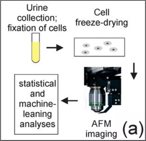 2.webp.jpg 2.webp.jpg