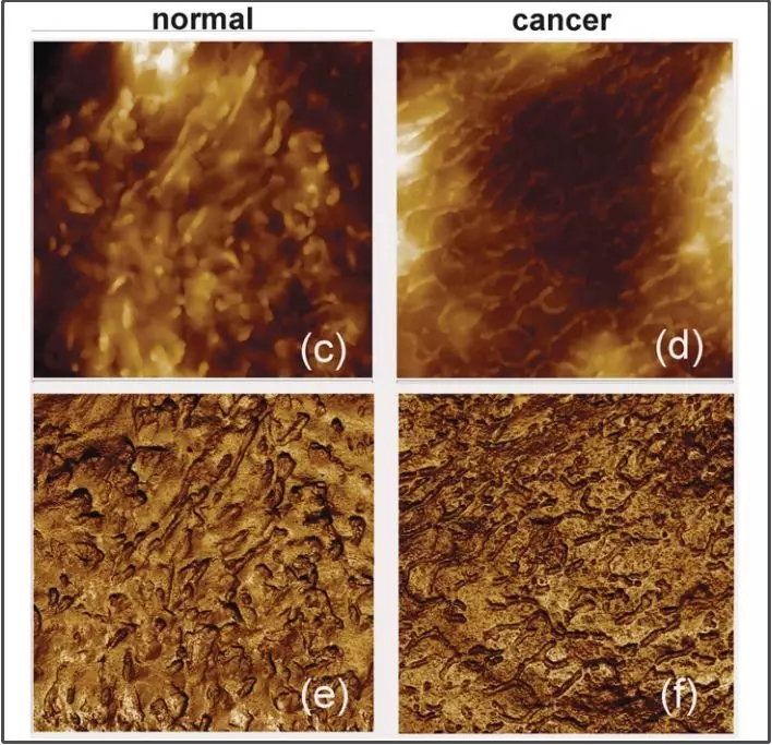 4.webp.jpg 4.webp.jpg