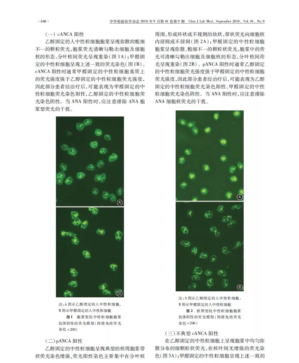 3.webp.jpg 3.webp.jpg