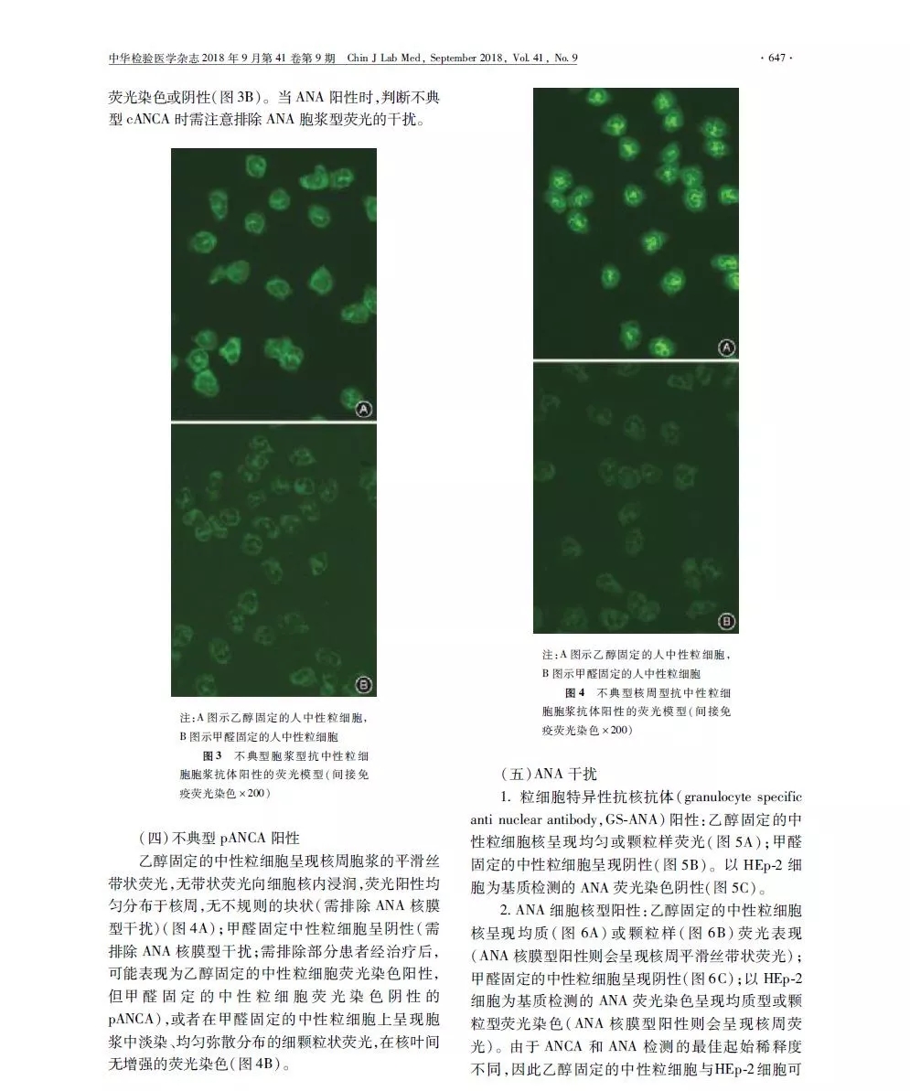 4.webp.jpg 4.webp.jpg