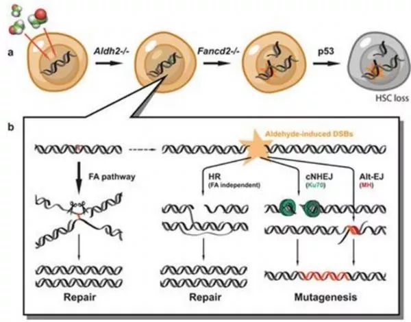 1.webp.jpg 1.webp.jpg