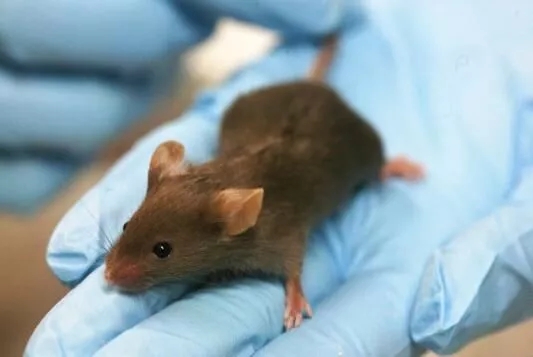 2.webp.jpg 2.webp.jpg