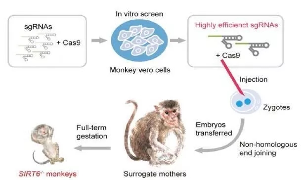 4.webp.jpg 4.webp.jpg